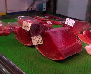 فروش گوشت ماهی گیدر منجمد