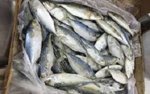 ماهی زرده ارزان قیمت