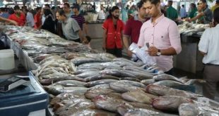 قیمت ماهی گیدر در تهران