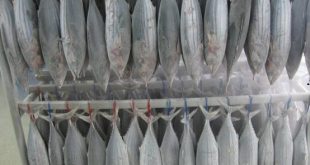 تولید کننده ماهی گیدر