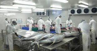 کارخانجات فیله ماهی گیدر